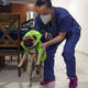 Harley and their owner, Doctor Lucia